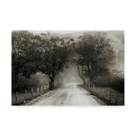 Nicholas Bell Photography 'Sparks Lane Path' Canvas Art,30x47